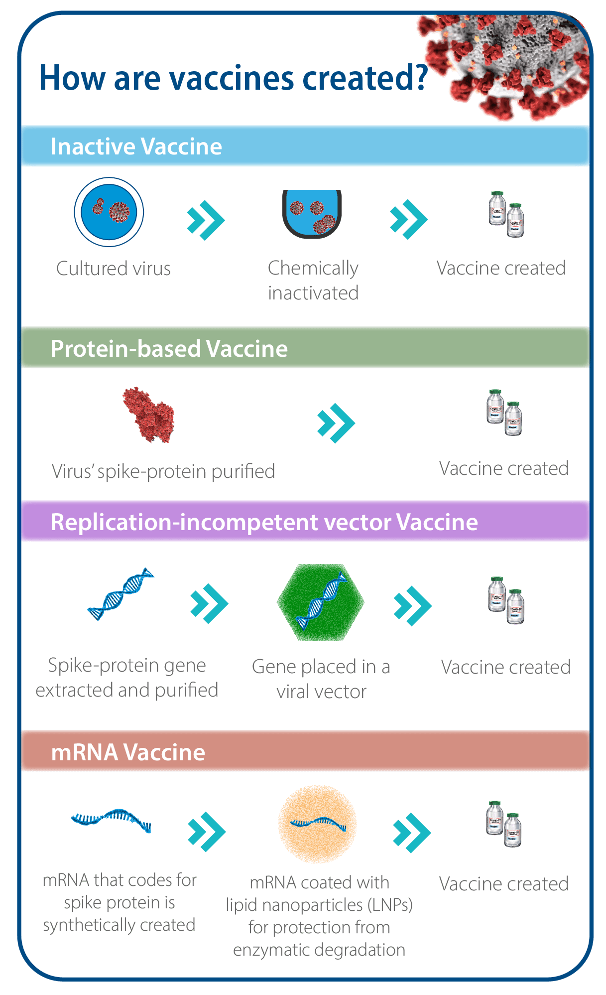 Comirnaty vaccine 哪个 国家
